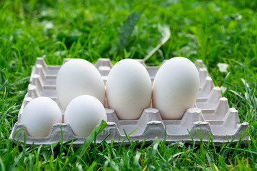 Similar image 21675411