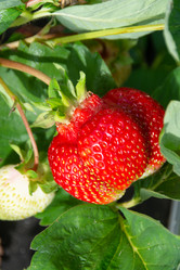 Similar image 21669763