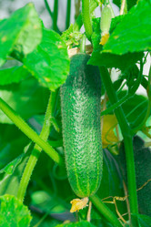 Similar image 21673714