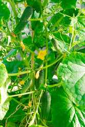 Similar image 21673715