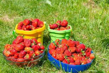 Similar image 21669770