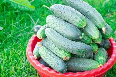 Similar image 21673717