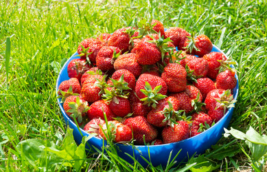 Similar image 21669772