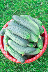 Similar image 21673718