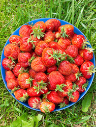 Similar image 21669773