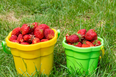 Similar image 21669774