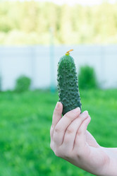 Similar image 21673719