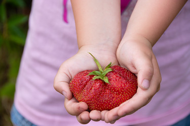 Similar image 21669775