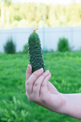 Similar image 21673720