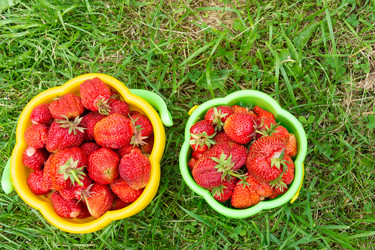 Similar image 21669776