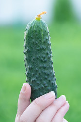 Similar image 21674010