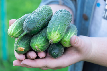 Similar image 21674011