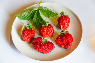 Similar image 21669779