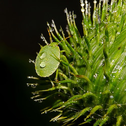 Similar image 21668399