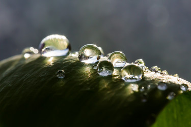 Similar image 21668406