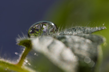 Similar image 21668407