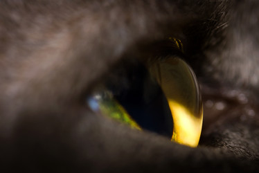 Similar image 21668409