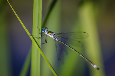 Similar image 21668410