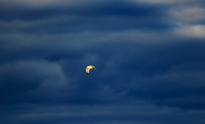 Similar image 21668416