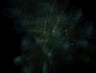 Similar image 21668427