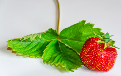 Similar image 21669784