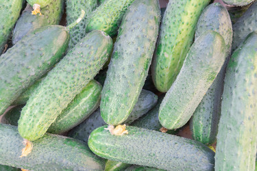 Similar image 21673084