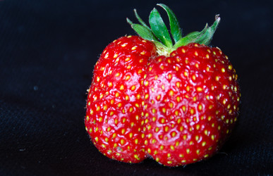 Similar image 21669788