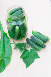 Similar image 21673087