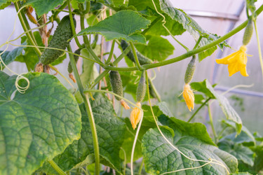 Similar image 21673088