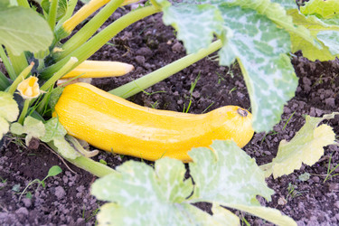 Similar image 21672206