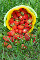 Similar image 21669792