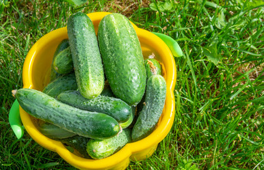 Similar image 21673089