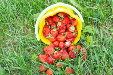 Similar image 21669793