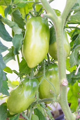 Similar image 21673090