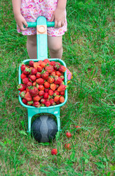 Similar image 21669794