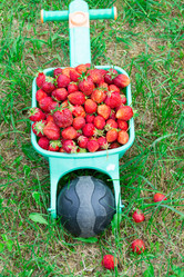 Similar image 21669795