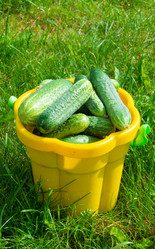 Similar image 21673091