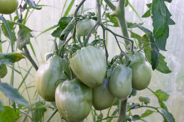 Similar image 21673092