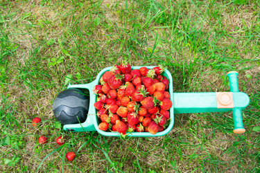 Similar image 21669796