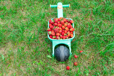 Similar image 21669797