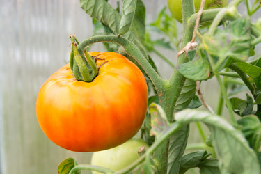 Similar image 21673094