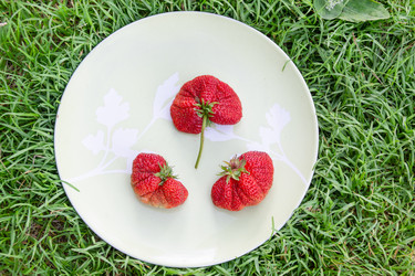 Similar image 21669798