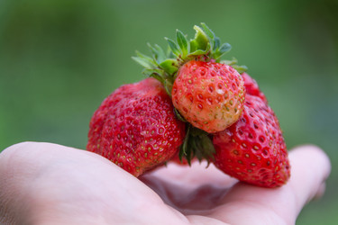 Similar image 21669800