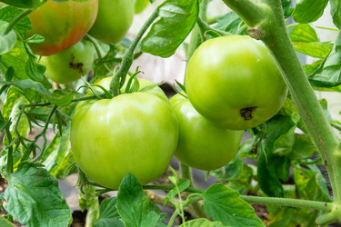 Similar image 21673096