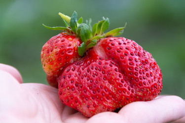 Similar image 21669801