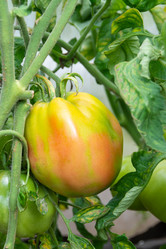 Similar image 21673099