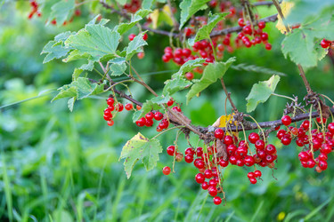 Similar image 21673100