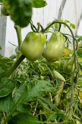 Similar image 21673104