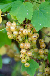 Similar image 21673105