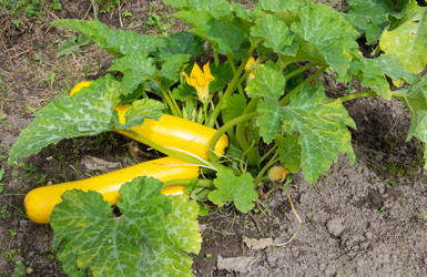 Similar image 21672314